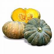 SQUASH (KALABASA)