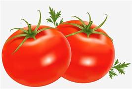 TOMATOES (KAMATIS)