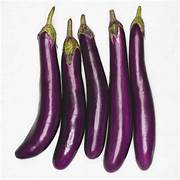 FRESH EGGPLANT (TALONG)